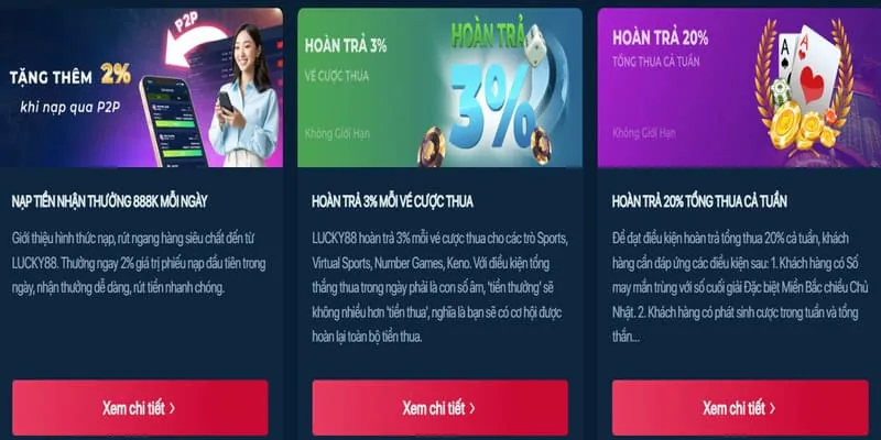 Bắt đầu quảng bá và kiếm tiền